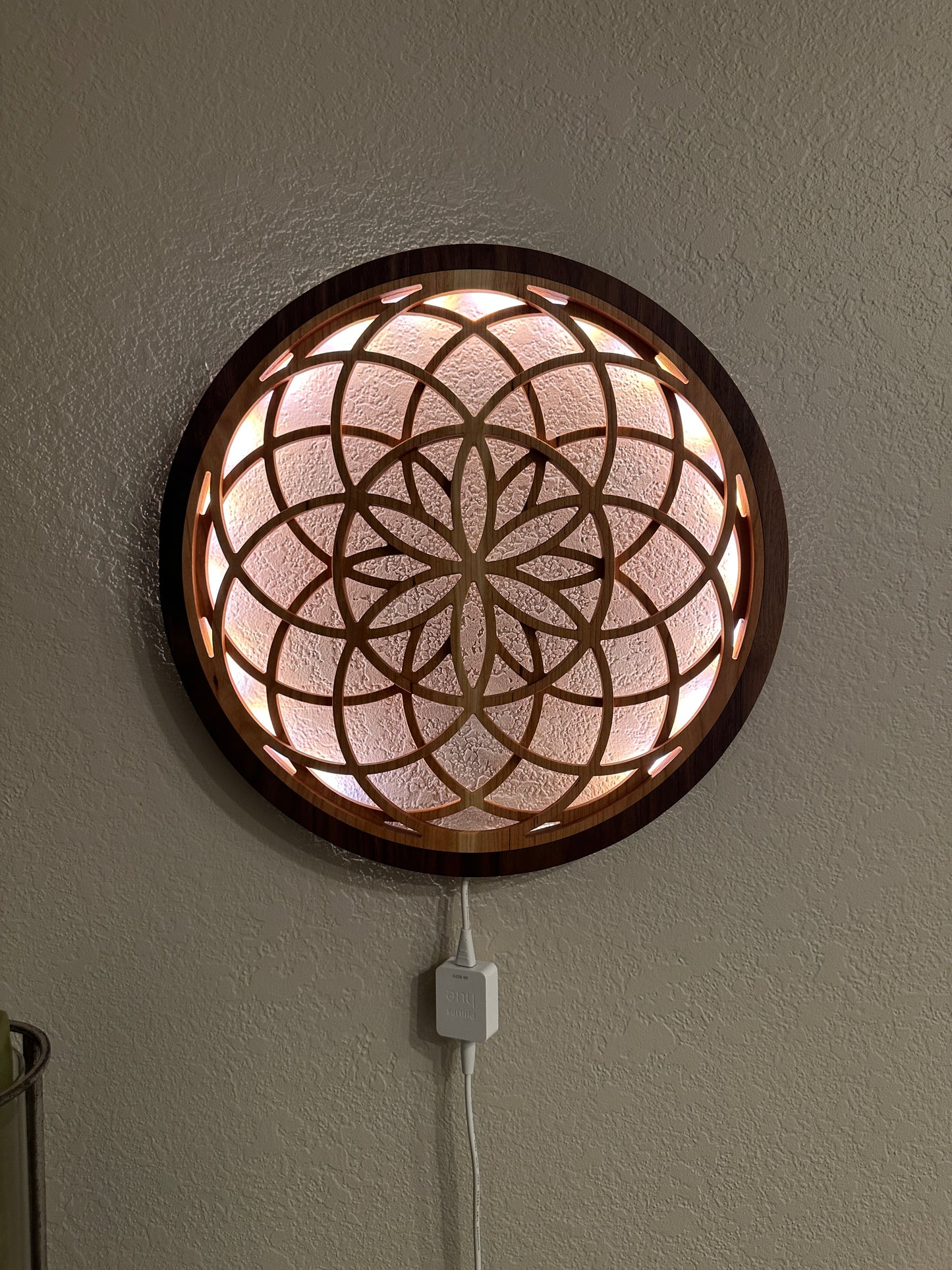 Double Seed of Life LED Wall Art