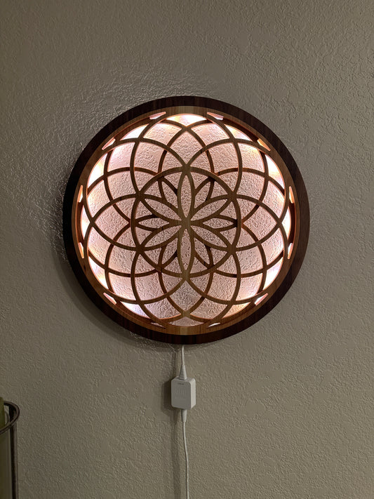 Double Seed of Life LED Wall Art